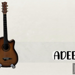 An image with the words D.I.Y and a guitar, set up on a DIY stand made from PVC pipes.